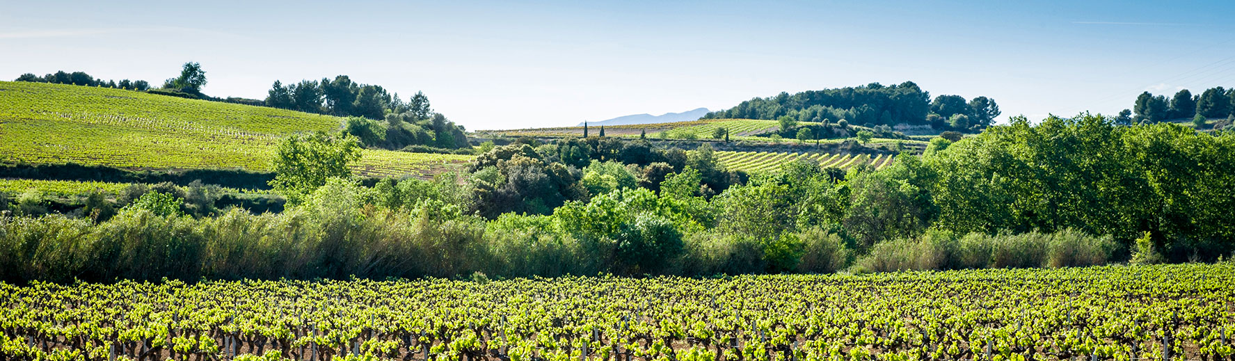 Retiro meditación mindfulness Barcelona 2021