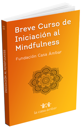 curso-mind-libro